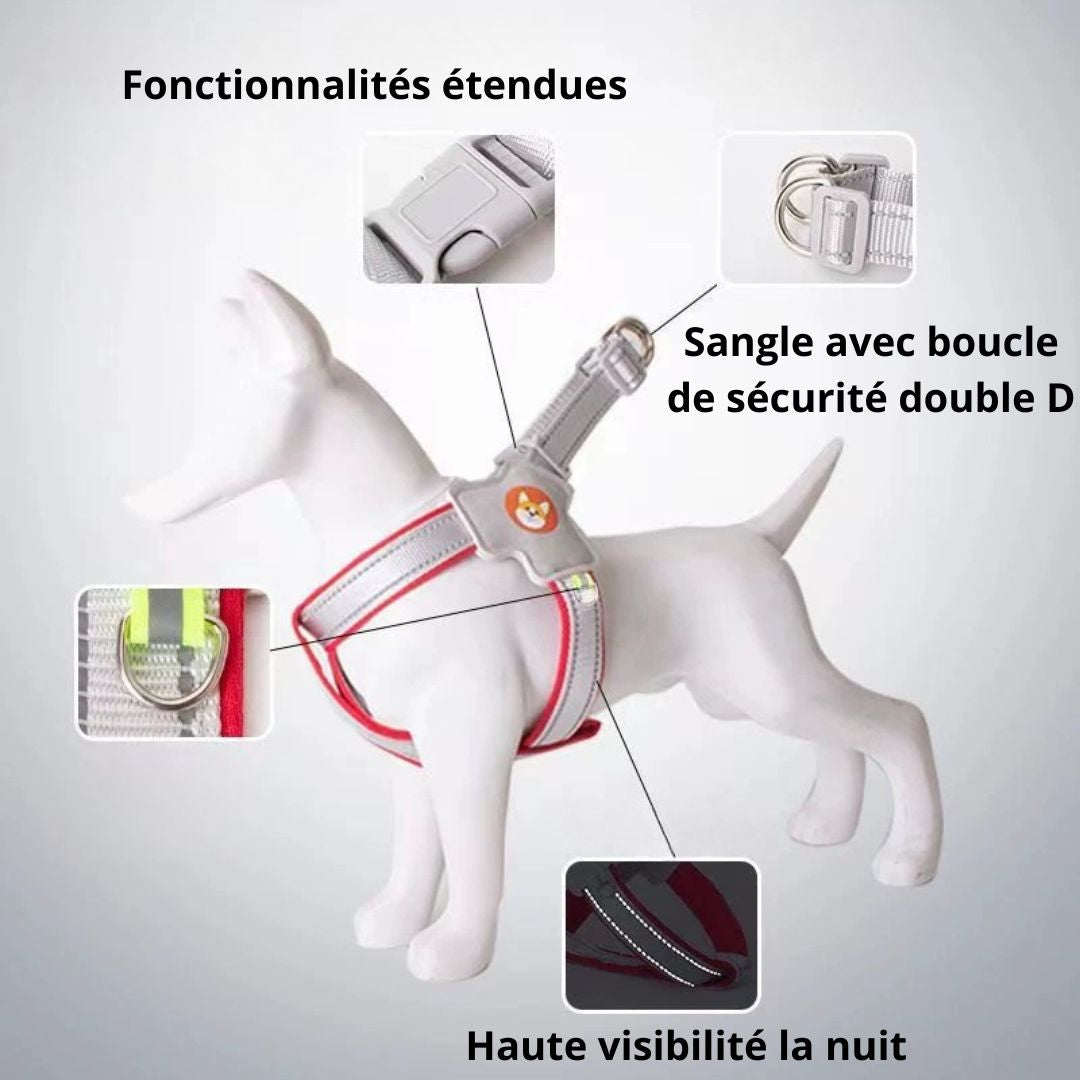 Harnais chien type Selle — confortable, respirant et sécurisé