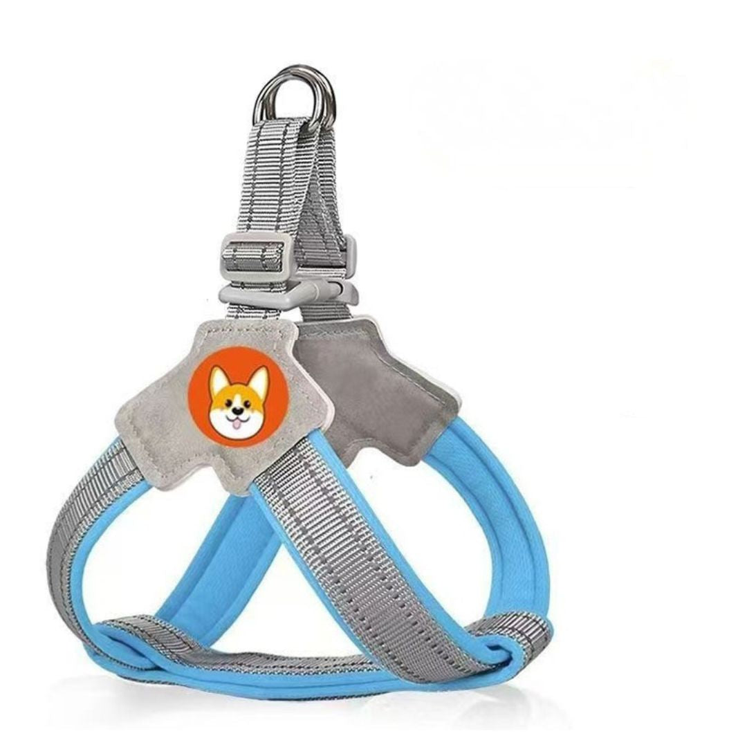 Harnais chien type Selle — confortable, respirant et sécurisé