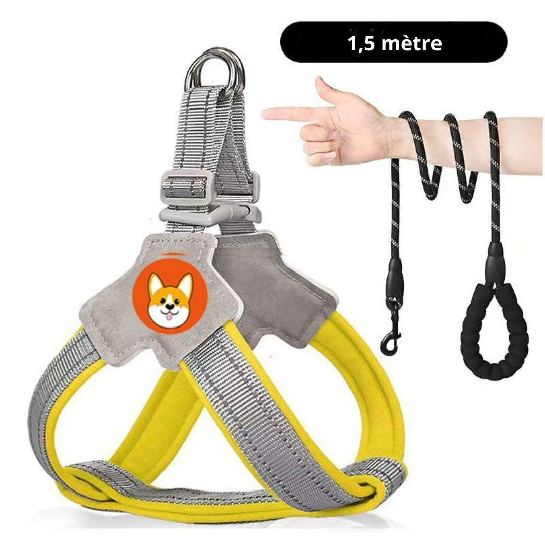 Harnais chien type Selle — confortable, respirant et sécurisé
