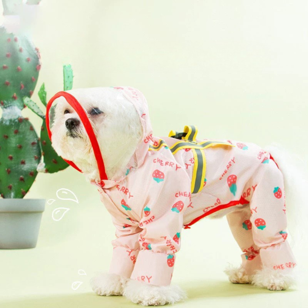 Imperméable pour chien en laisse — Avec bords givrés et couleur contrastée