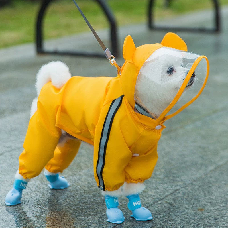 Imperméable pour chien en laisse — Avec bords givrés et couleur contrastée