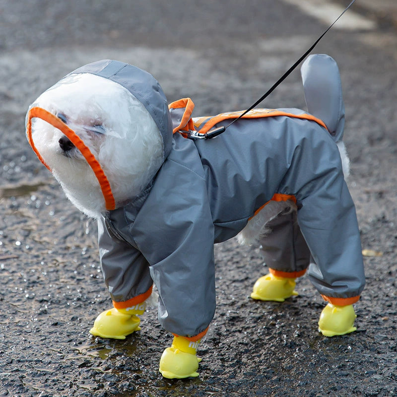 Imperméable pour chien en laisse — Avec bords givrés et couleur contrastée