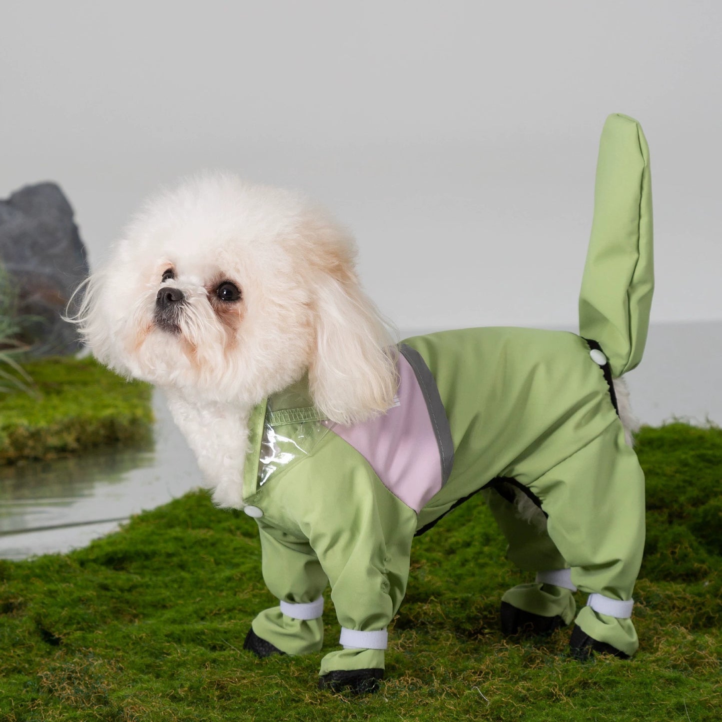 Imperméable pour chien en laisse — Avec bords givrés et couleur contrastée