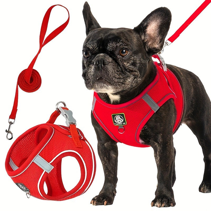 Harnais pour chien avec laisse — confort et sécurité