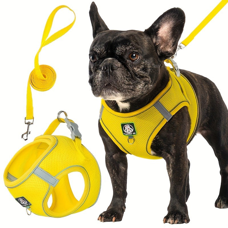 Harnais pour chien avec laisse — confort et sécurité