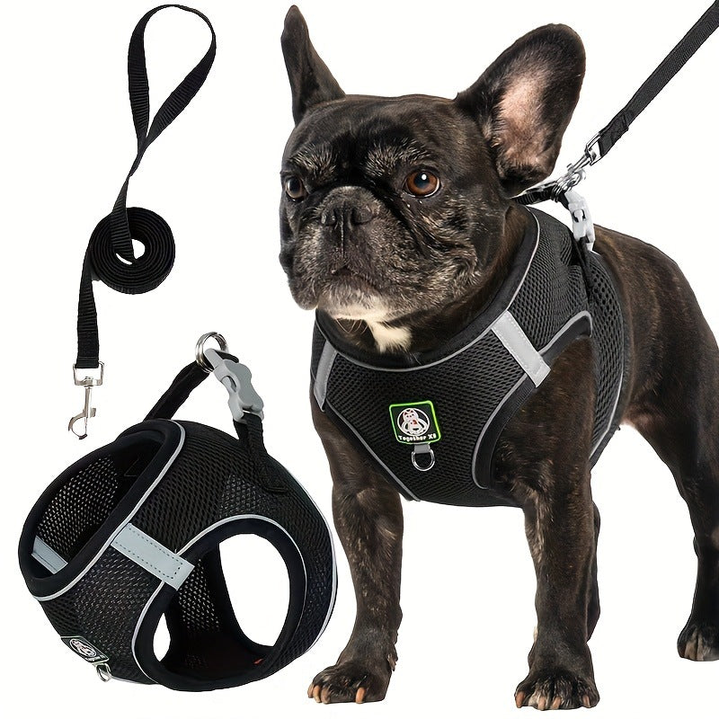 Harnais pour chien avec laisse — confort et sécurité