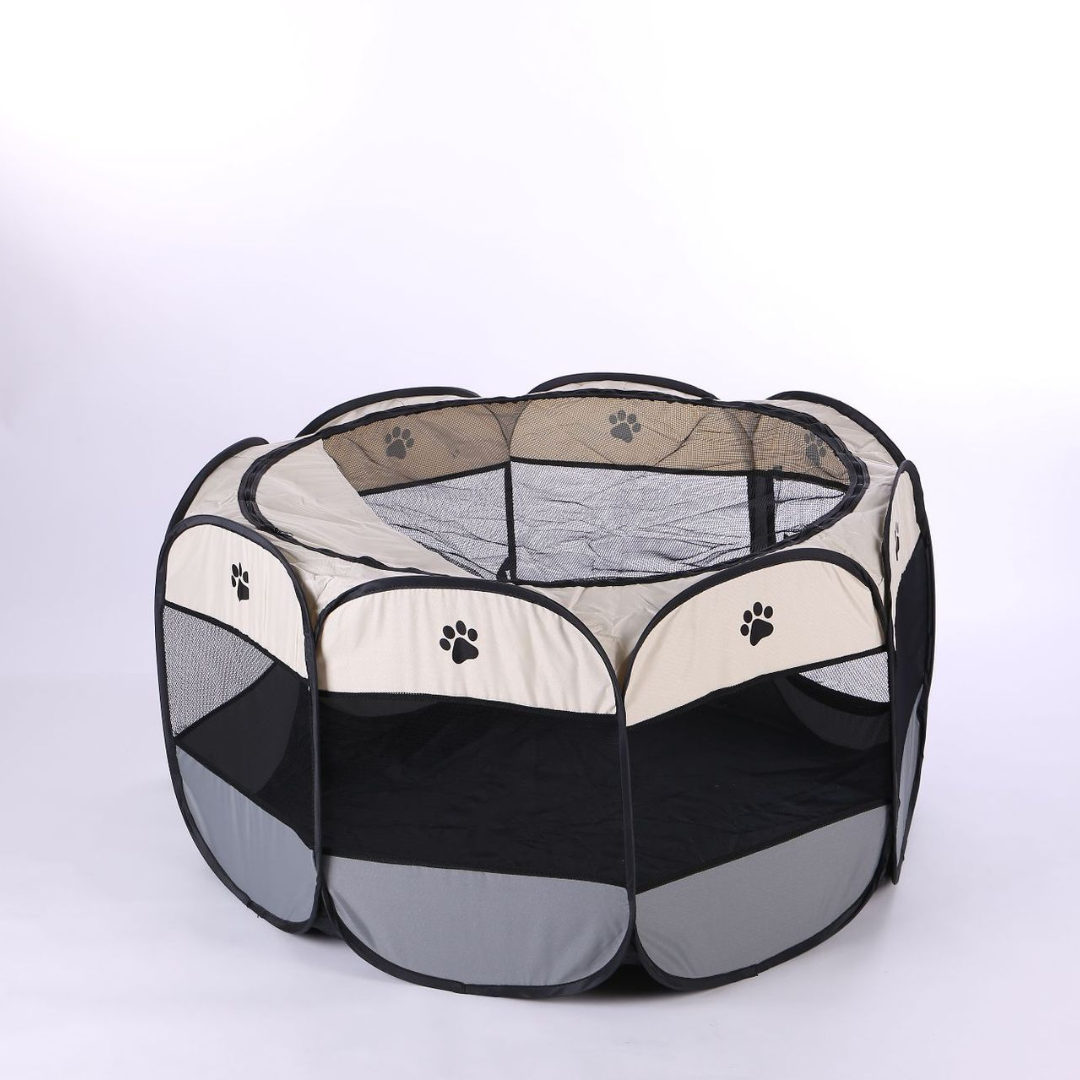 Salle de mise bas pour chattes — boîte de gestation fermée, pratique et confortable
