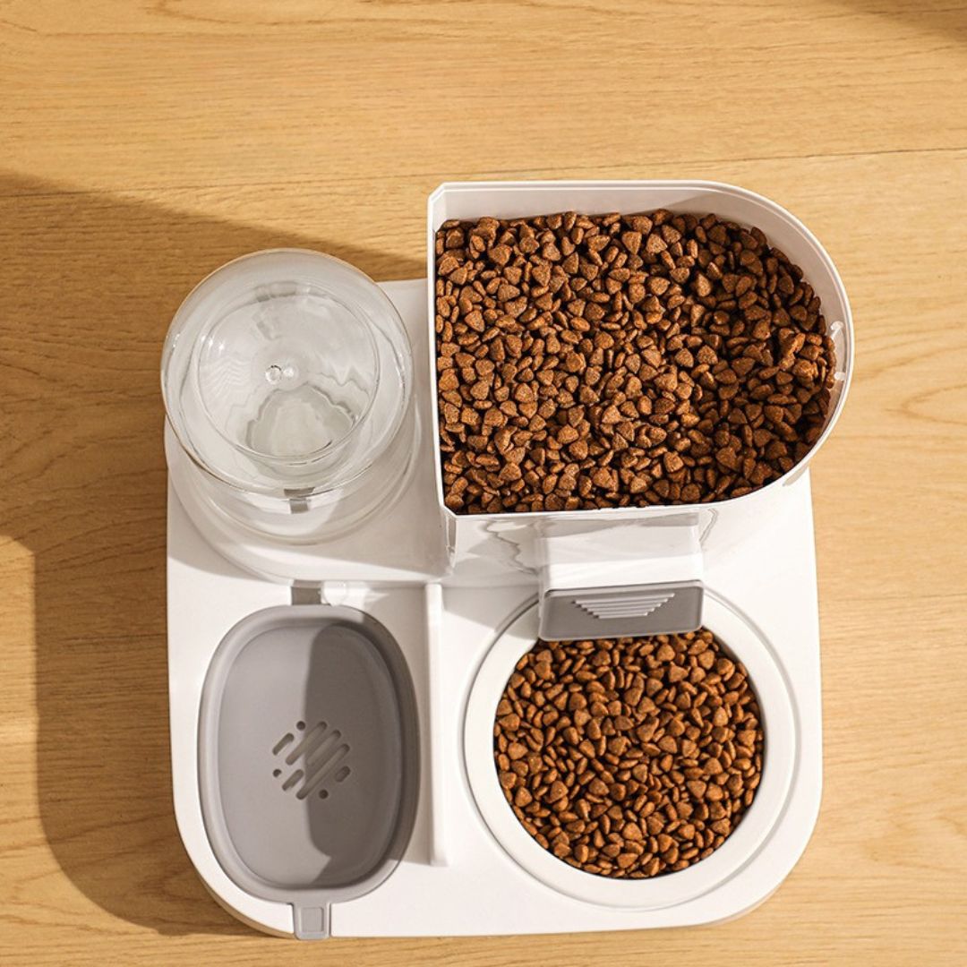 Distributeur automatique de nourriture pour chat — gamelle élégante et pratique