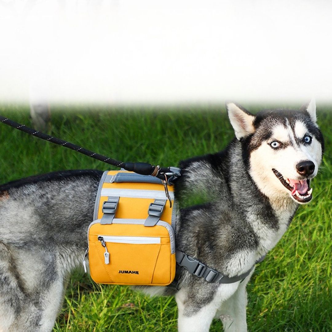 Sac de transport pour chien – taille ajustable, design ergonomique