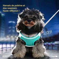 Sac de transport anti-traction réglable pour chien — confortable et respirant