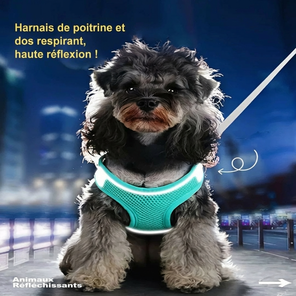Sac de transport anti-traction réglable pour chien — confortable et respirant