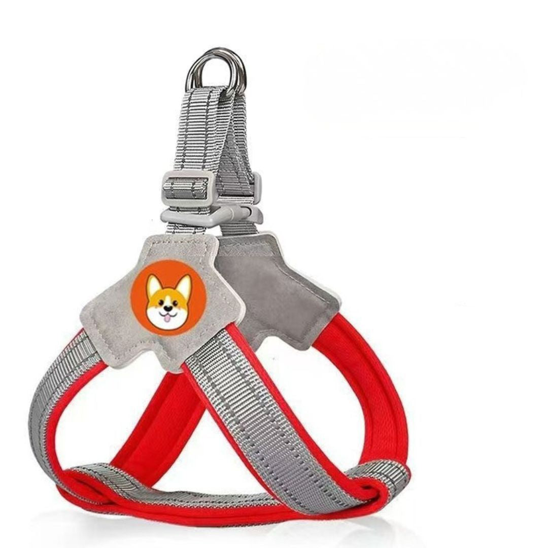 Harnais chien type Selle — confortable, respirant et sécurisé