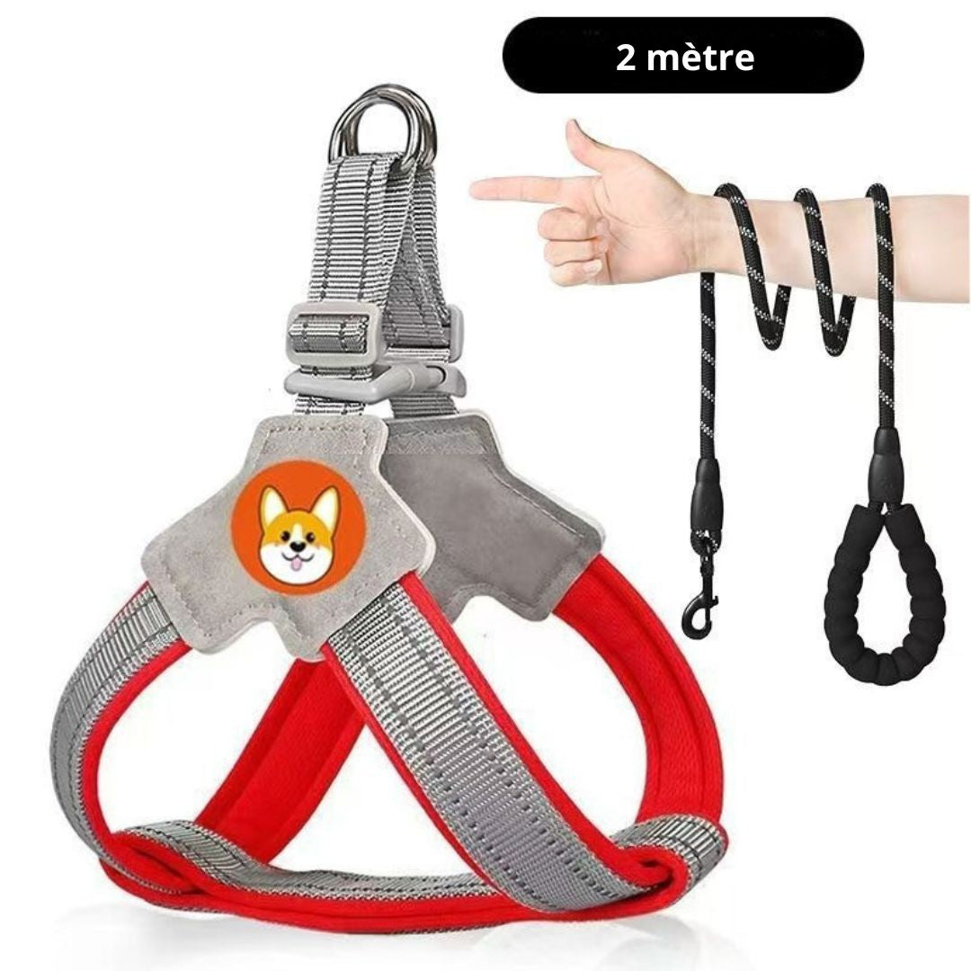 Harnais chien type Selle — confortable, respirant et sécurisé
