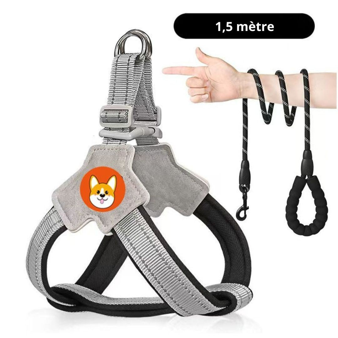 Harnais chien type Selle — confortable, respirant et sécurisé