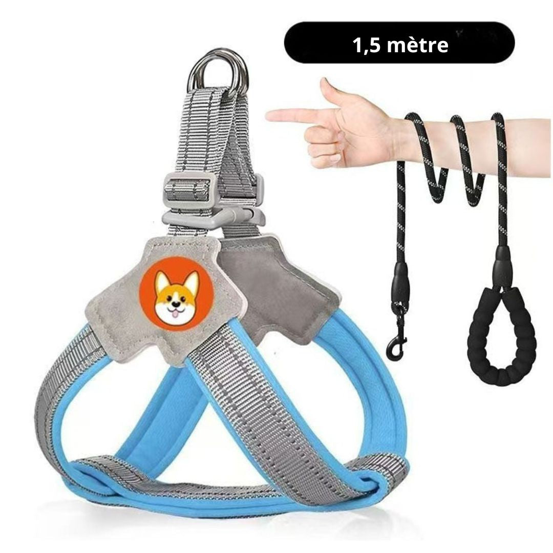 Harnais chien type Selle — confortable, respirant et sécurisé