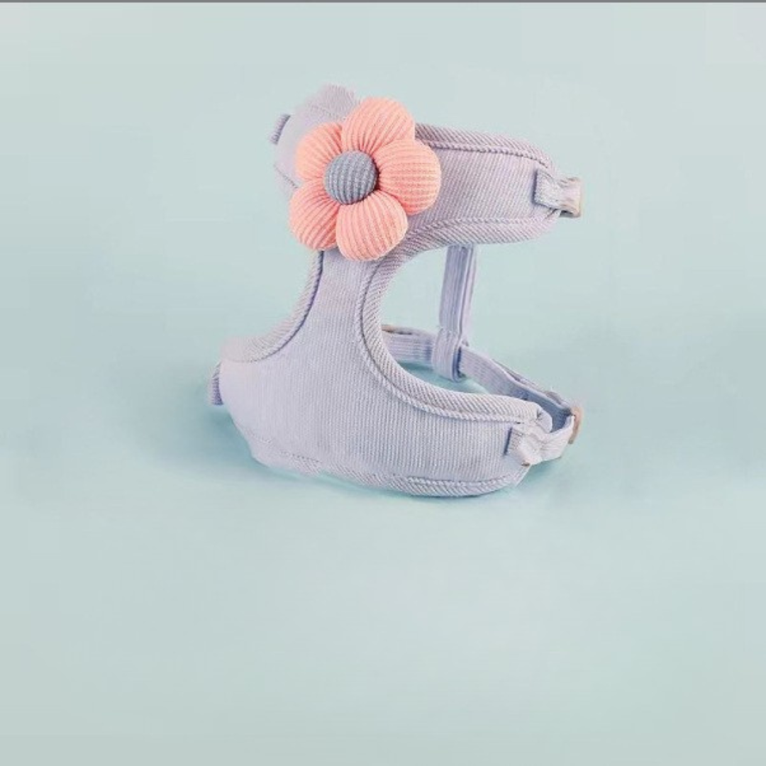 Laisse pour chat - gilet de promenade confortable et ajustable