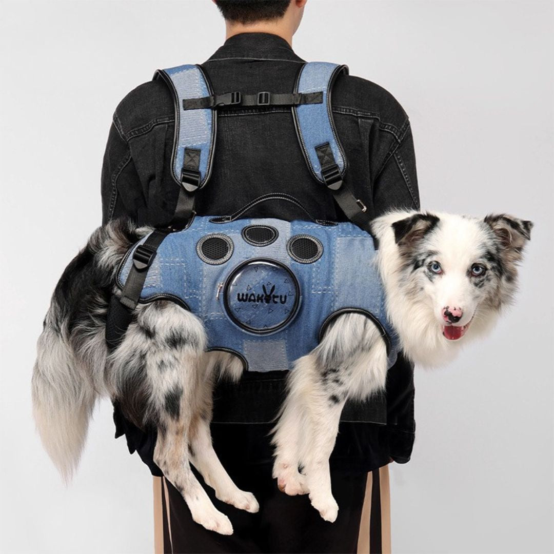Transporteur pour animaux — Sac à dos pour chiens moyen et grand