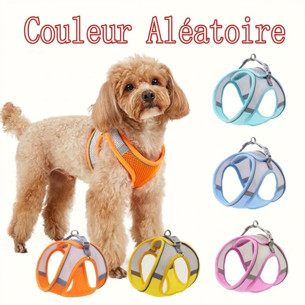 Sac de transport anti-traction réglable pour chien — confortable et respirant