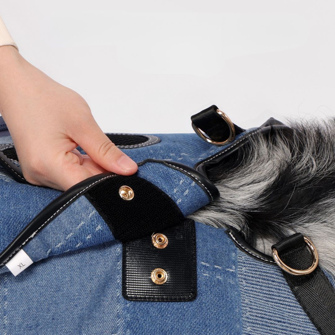 Transporteur pour animaux — Sac à dos pour chiens moyen et grand