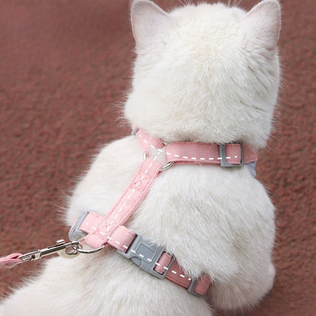 Laisse pour chat classique — Harnais anti-fugue et laisse réglable