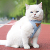 Laisse pour chat classique — Harnais anti-fugue et laisse réglable