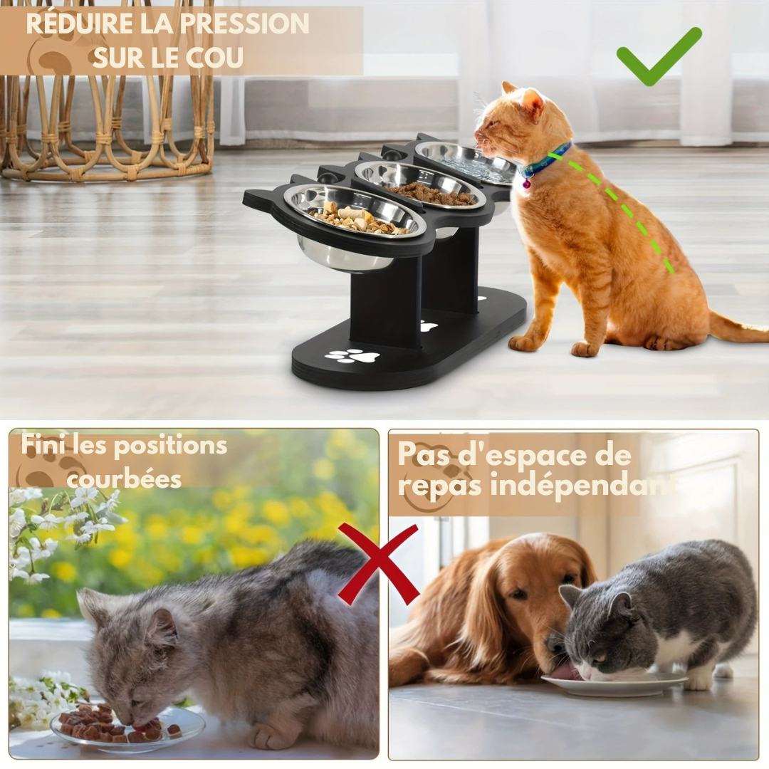 Bol pour Chat élevé — Inclinaison de 15° pour un confort optimal
