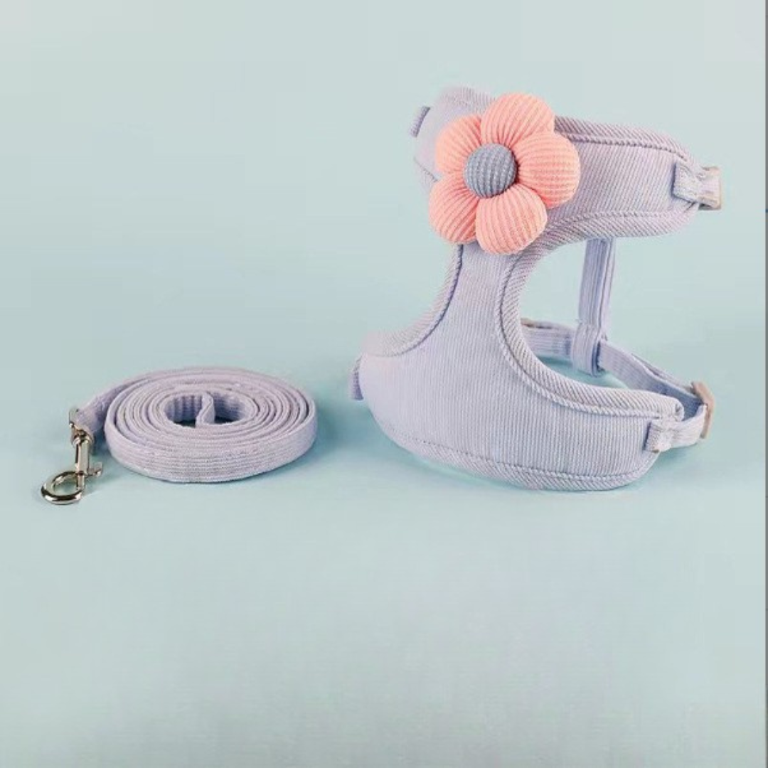 Laisse pour chat - gilet de promenade confortable et ajustable