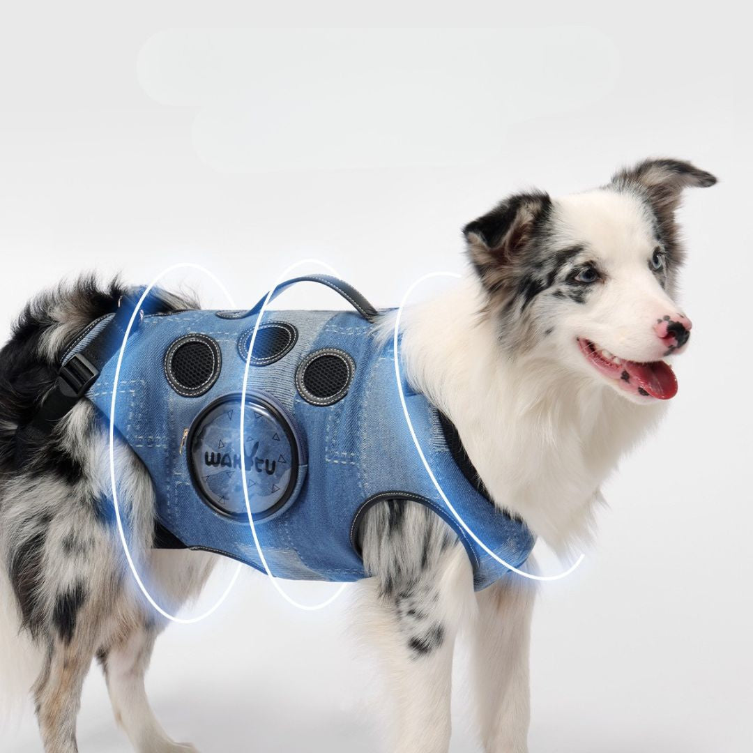 Transporteur pour animaux — Sac à dos pour chiens moyen et grand