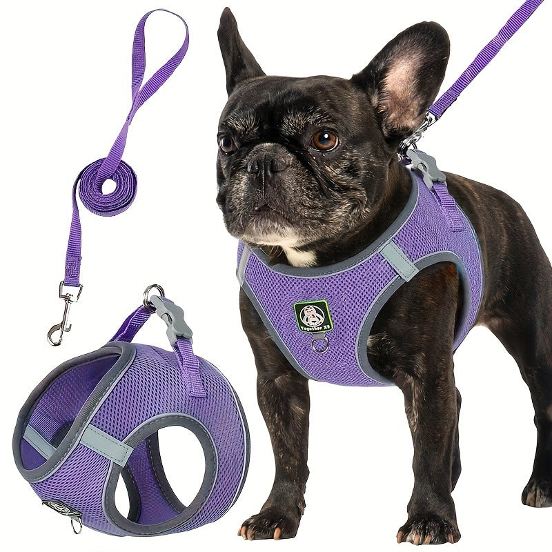 Harnais pour chien avec laisse — confort et sécurité