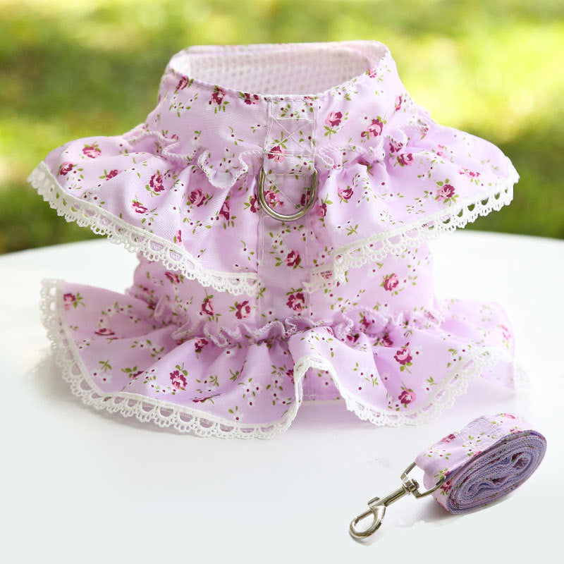 Harnais chic en dentelle pour animaux — détails en peluche et laisse incluse