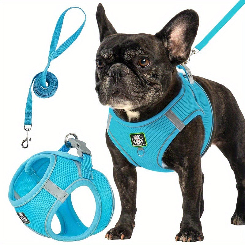 Harnais pour chien avec laisse — confort et sécurité