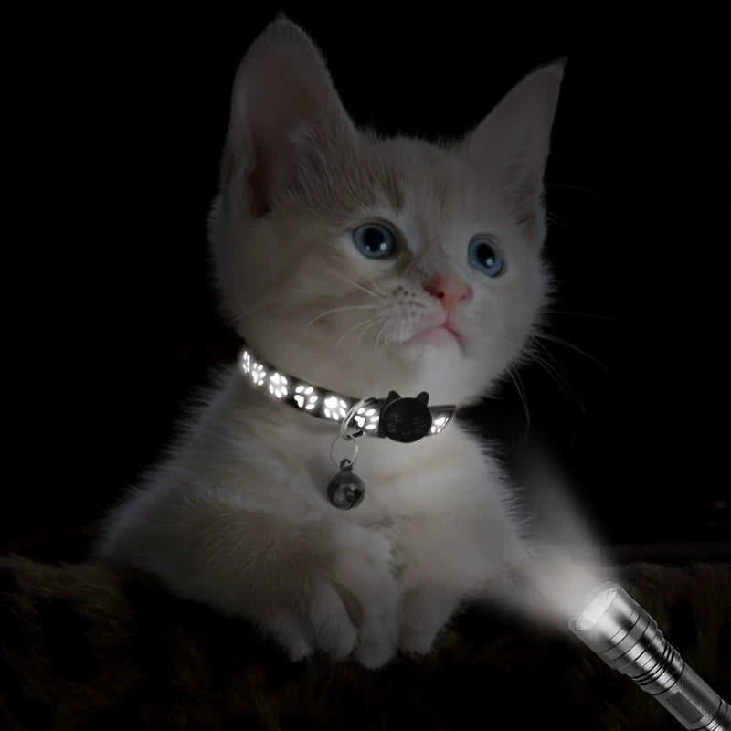 Harnais pour chat avec motif empreinte de patte — pésistant