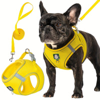 Harnais pour chien avec laisse — confort et sécurité