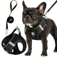 Harnais pour chien avec laisse — confort et sécurité