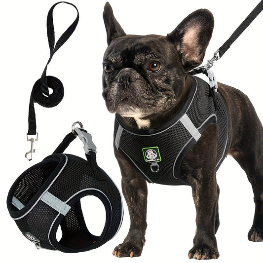 Harnais pour chien avec laisse — confort et sécurité