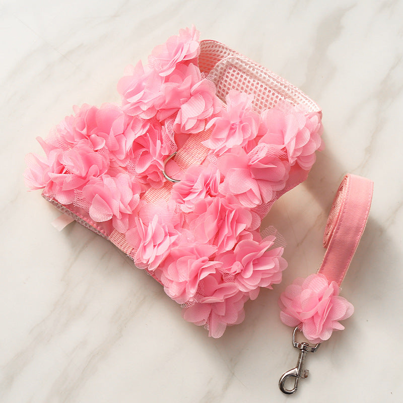 Harnais chic en dentelle pour animaux — détails en peluche et laisse incluse