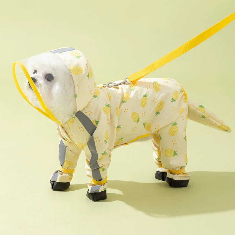 Imperméable pour chien en laisse — Avec bords givrés et couleur contrastée