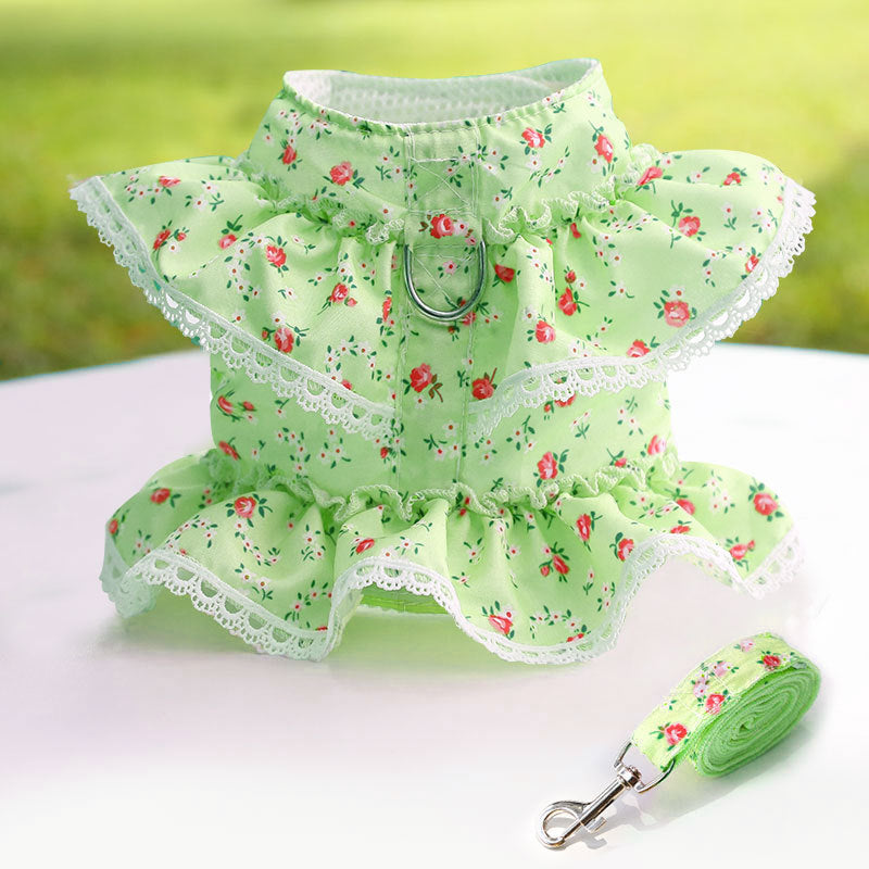 Harnais chic en dentelle pour animaux — détails en peluche et laisse incluse