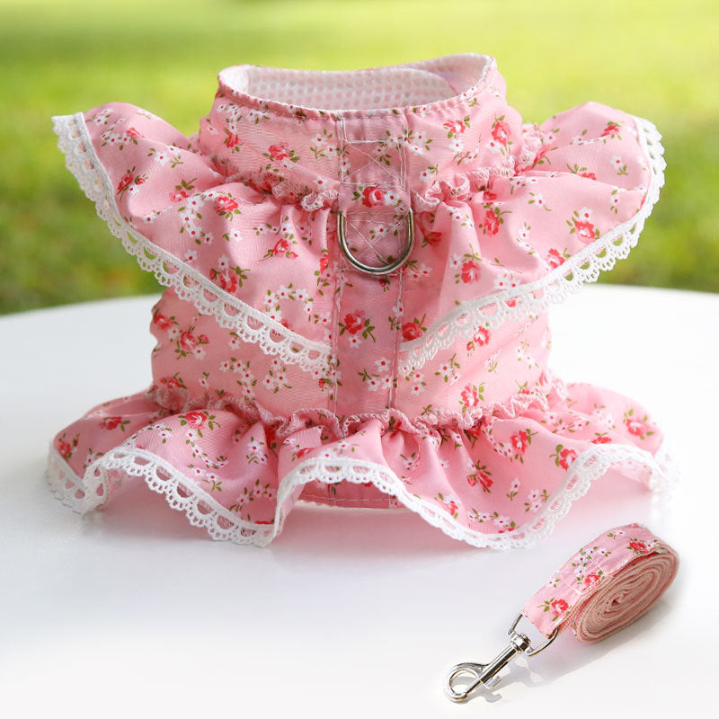 Harnais chic en dentelle pour animaux — détails en peluche et laisse incluse