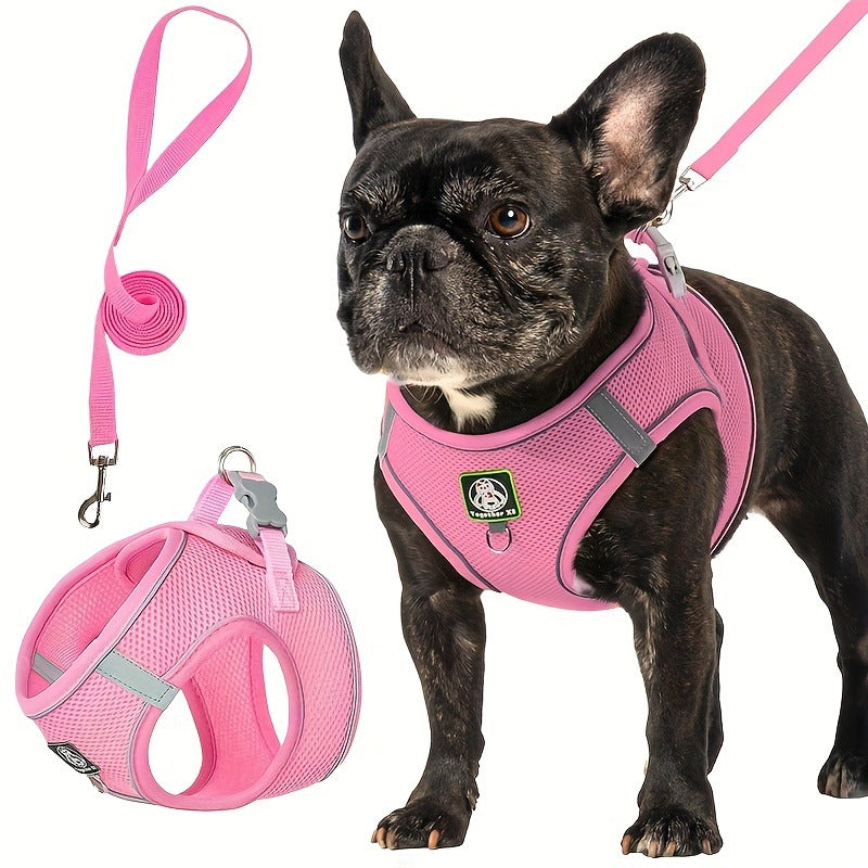 Harnais pour chien avec laisse — confort et sécurité
