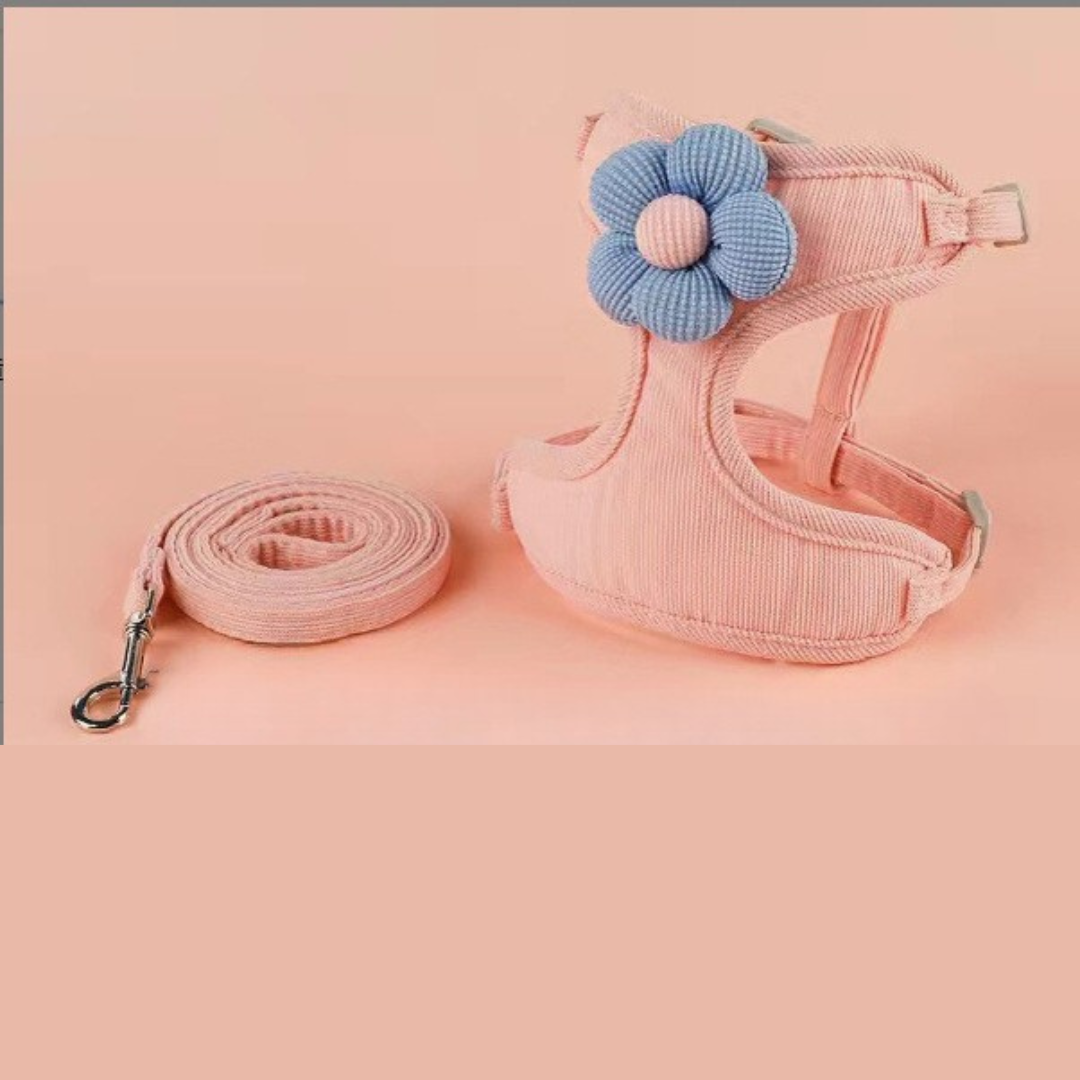 Laisse pour chat - gilet de promenade confortable et ajustable