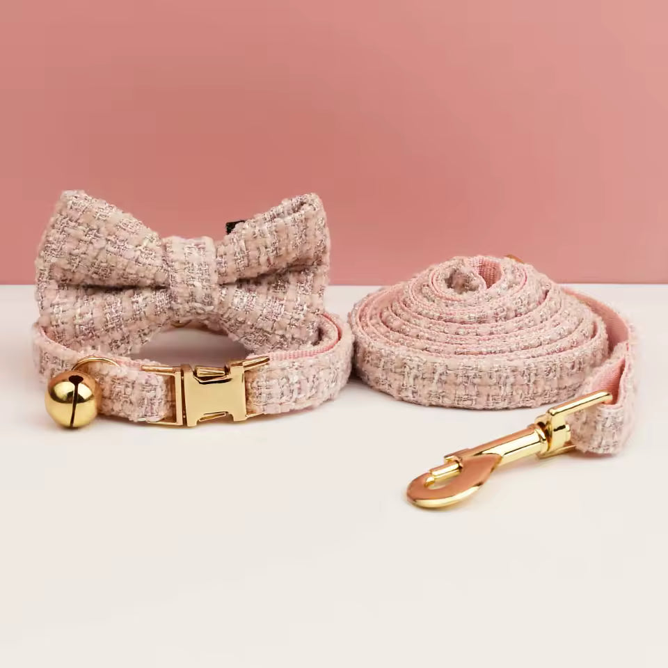 Collier pour animaux de compagnie – nouveau modèle gravé avec clochette